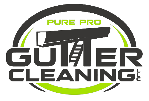 PURE PRO GUTTER CLEANING LLC