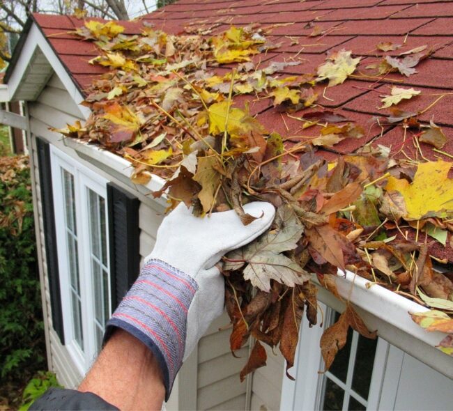 tips_cleaning_gutters